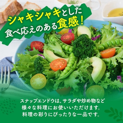 【令和8年発送】宮崎県産 あいこトマト1.5kg&スナップエンドウ1kg