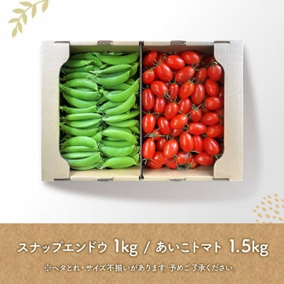 【令和8年発送】宮崎県産 あいこトマト1.5kg&スナップエンドウ1kg