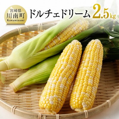 【令和7年発送】朝どれ!守部さんちのドルチェドリーム2.5kg
