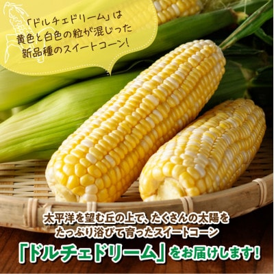 【令和7年発送】朝どれ!守部さんちのドルチェドリーム5kg