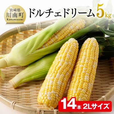 【令和7年発送】朝どれ!守部さんちのドルチェドリーム (2Lサイズ5kg)