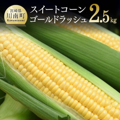 【令和7年発送】朝どれ!守部さんちのゴールドラッシュ2.5kg