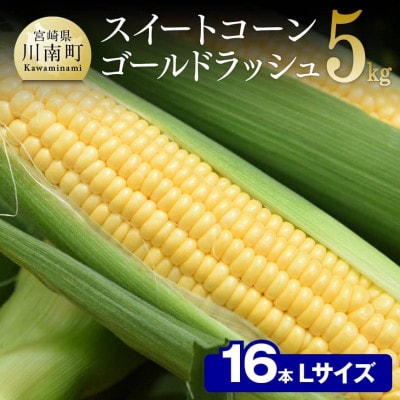 【令和7年発送】朝どれ!守部さんちのゴールドラッシュ (Lサイズ5kg)