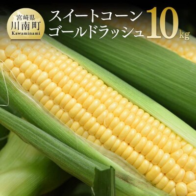 【令和7年発送】朝どれ!守部さんちのゴールドラッシュ10kg