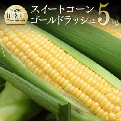 【令和7年発送】朝どれ!守部さんちのゴールドラッシュ5kg