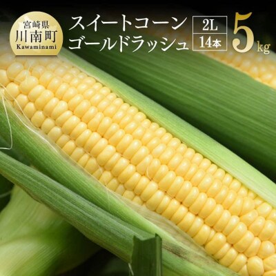 【令和7年発送】朝どれ!守部さんちのゴールドラッシュ (2Lサイズ5kg)