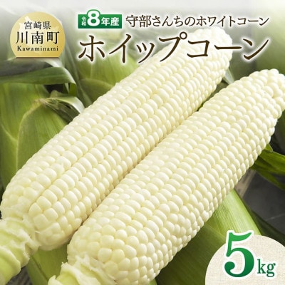 【令和8年発送】宮崎県産とうもろこし　守部さんちのホワイトコーン「ホイップコーン」5kg