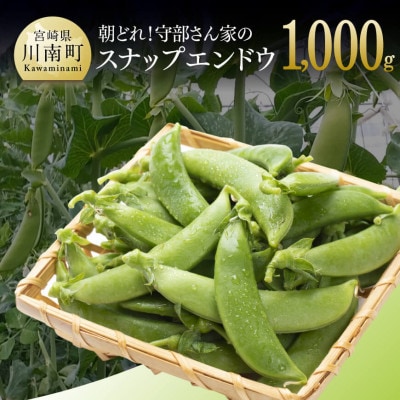 【令和8年発送】朝どれ!守部さん家のスナップエンドウ1.0kg