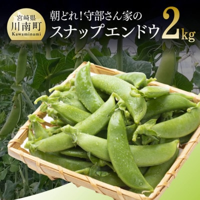 【令和8年発送】朝どれ!守部さん家のスナップエンドウ2.0kg