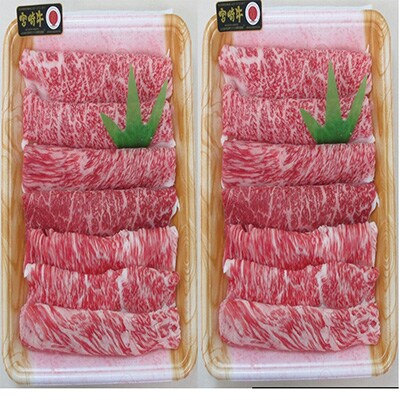 【毎月定期便】宮崎牛　総重量3kg(川南町)全6回