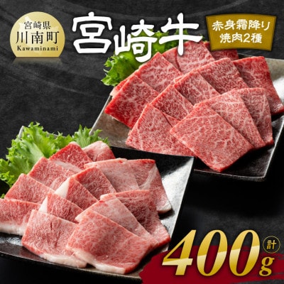 宮崎牛赤身霜降り焼肉2種400g