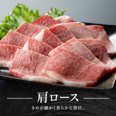宮崎牛赤身霜降り焼肉2種400g