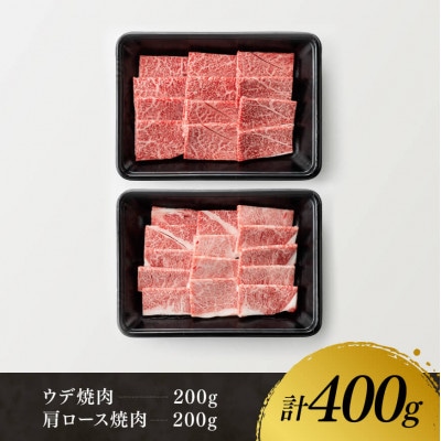宮崎牛赤身霜降り焼肉2種400g