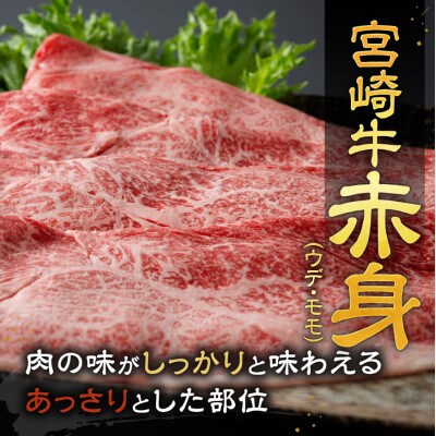宮崎牛赤身霜降りスライス800g