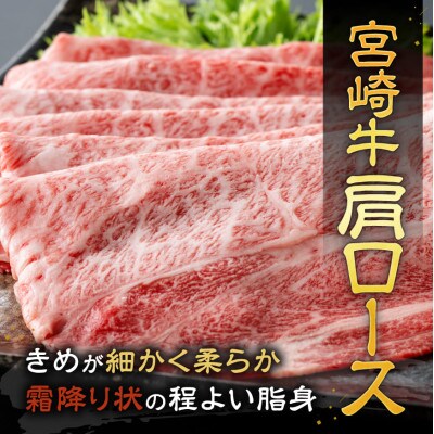 宮崎牛赤身霜降りスライス800g