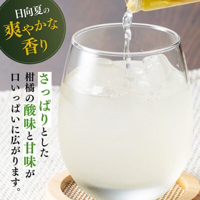 日向夏レモンドリンク(160g×20本)