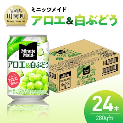 ミニッツメイドアロエ&白ぶどう 280g缶24本