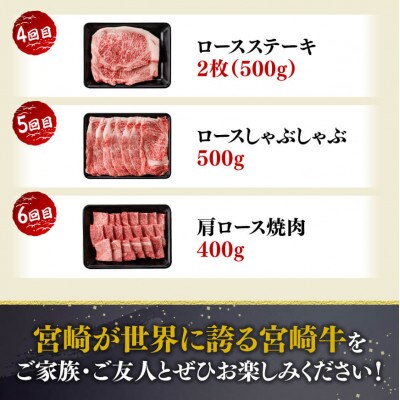 【毎月定期便】宮崎牛定期便A(ステーキ・しゃぶしゃぶ・焼肉)全6回