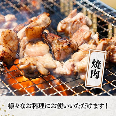 【訳あり】九州産若鶏もも細切り(焼き肉用)3.0kg(300g×10袋)