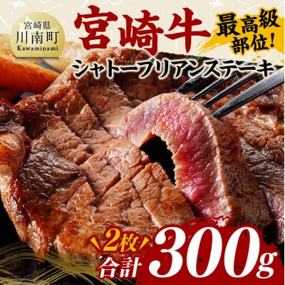 宮崎牛 A4～A5ランク 希少部位 シャトーブリアン ステーキ  2枚 合計300g(川南町)