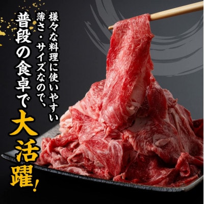 宮崎牛 A4～A5ランク 切り落とし 小分け 合計1kg (500g×2パック)(川南町)