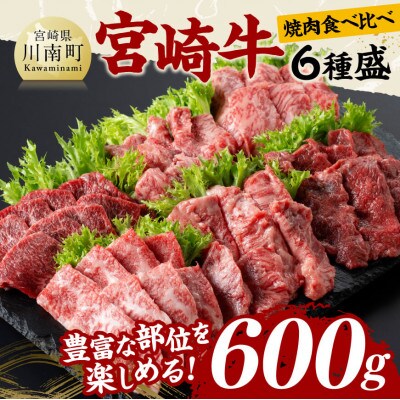 宮崎牛 A4～A5 食べ比べ 6種 焼肉セット [サーロイン・カルビなど] 合計600g(川南町)