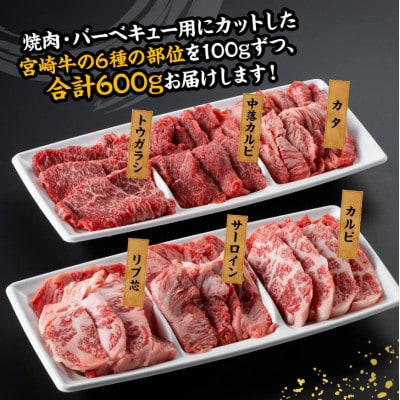 宮崎牛 A4～A5 食べ比べ 6種 焼肉セット [サーロイン・カルビなど] 合計600g(川南町)