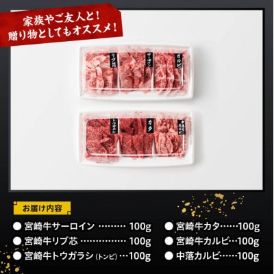宮崎牛 A4～A5 食べ比べ 6種 焼肉セット [サーロイン・カルビなど] 合計600g(川南町)