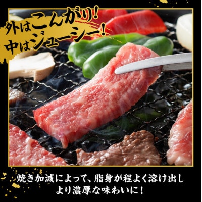宮崎牛 A4～A5 黒毛和牛 カルビ バラ 焼肉・バーベキュー 500g(川南町)
