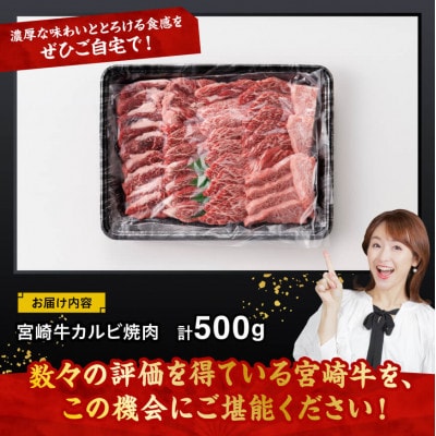 宮崎牛 A4～A5 黒毛和牛 カルビ バラ 焼肉・バーベキュー 500g(川南町)