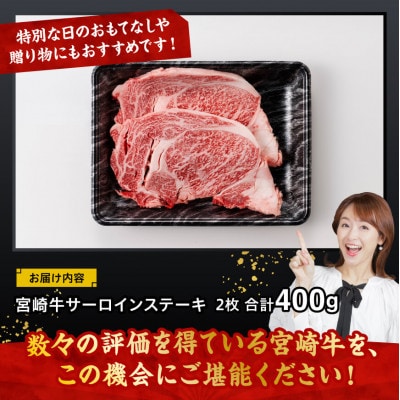 宮崎牛 A4～A5 黒毛和牛 サーロイン ステーキ 2枚 合計400g(川南町)