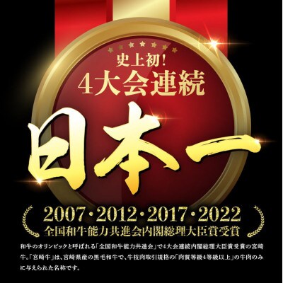 宮崎牛 A4～A5 黒毛和牛 サーロイン ステーキ 4枚 合計800g(川南町)