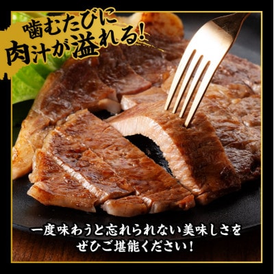 宮崎牛 A4～A5 黒毛和牛 サーロイン ステーキ 4枚 合計800g(川南町)