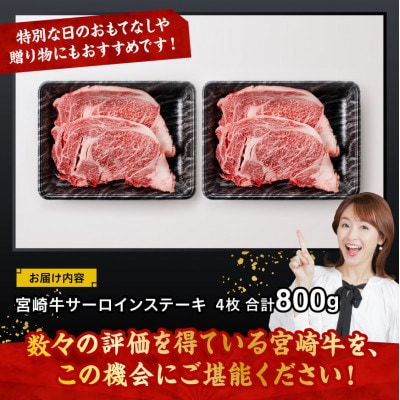 宮崎牛 A4～A5 黒毛和牛 サーロイン ステーキ 4枚 合計800g(川南町)