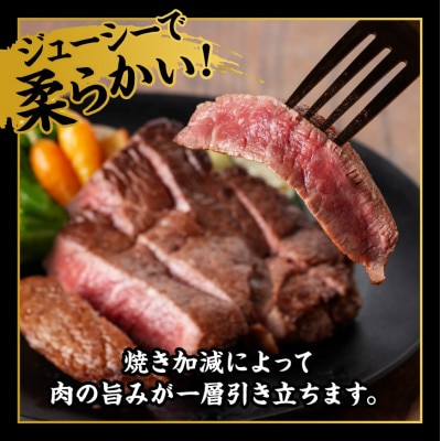 宮崎牛A5～A4 ヒレステーキ(ヘレ・フィレ)(2枚入り300g)(川南町)