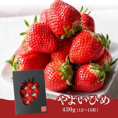 川南町産いちご「やよいひめ」430g