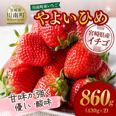 川南町産いちご「やよいひめ」860g(430g×2)