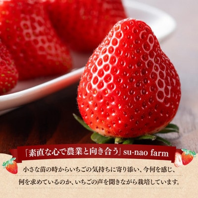 川南町産いちご「やよいひめ」860g(430g×2)