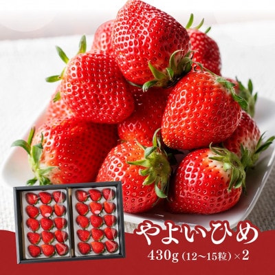 川南町産いちご「やよいひめ」860g(430g×2)