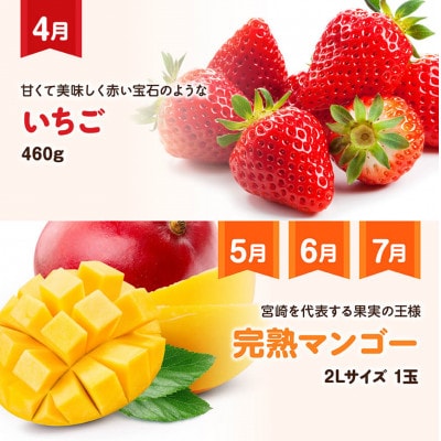 【発送月固定定期便】『いいとこどり』大人気くだもの定期便(川南町)全6回