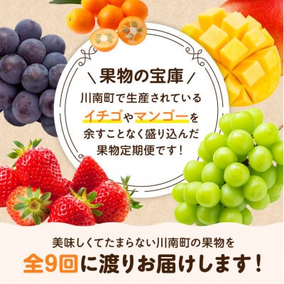【発送月固定定期便】フルーツ満喫定期便(川南町)全9回