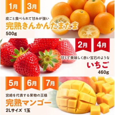 【発送月固定定期便】フルーツ満喫定期便(川南町)全9回