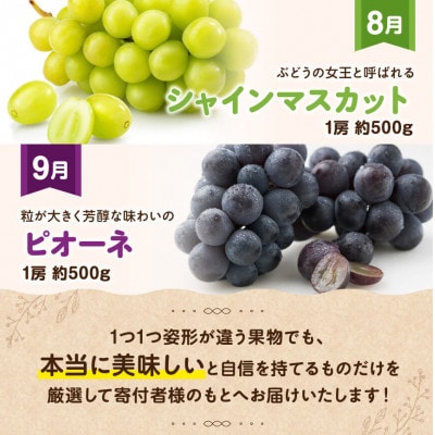 【発送月固定定期便】フルーツ満喫定期便(川南町)全9回