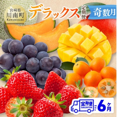 【発送月固定定期便】デラックス定期便(奇数月)(川南町)全6回