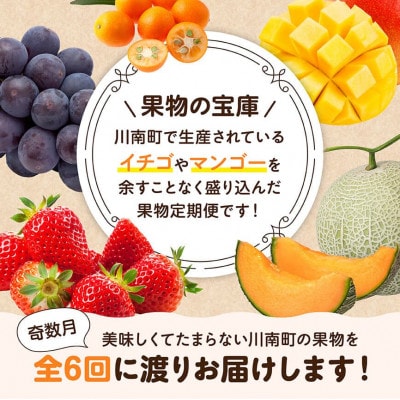 【発送月固定定期便】デラックス定期便(奇数月)(川南町)全6回