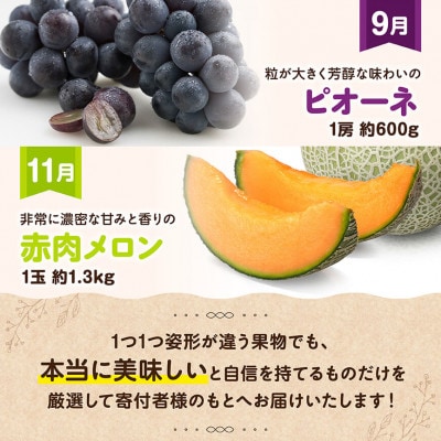 【発送月固定定期便】デラックス定期便(奇数月)(川南町)全6回