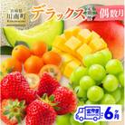 【発送月固定定期便】デラックス定期便(偶数月)(川南町)全6回