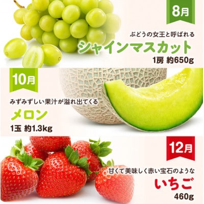 【発送月固定定期便】デラックス定期便(偶数月)(川南町)全6回