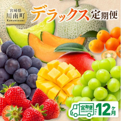 【発送月固定定期便】デラックス定期便(川南町)全12回