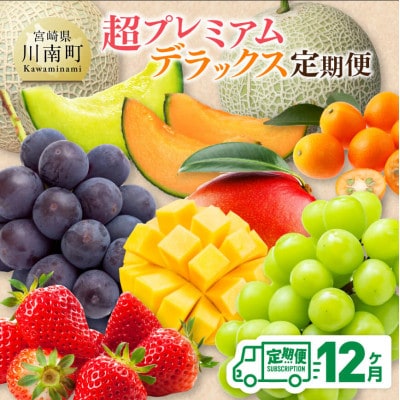 【発送月固定定期便】超プレミアムデラックス定期便(川南町)全12回